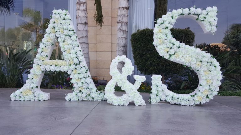 WhatsApp Image 2018-10-11 at 11.25.22