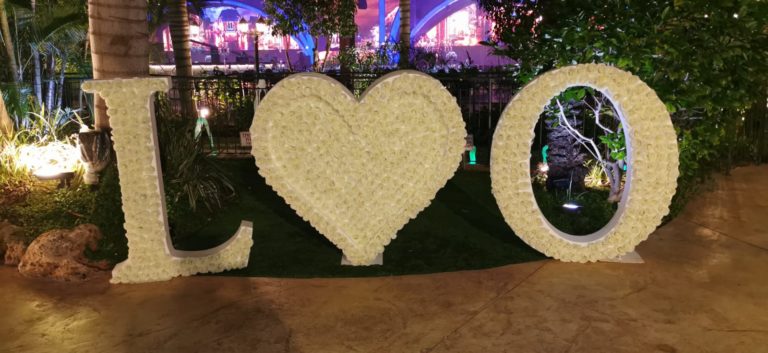 WhatsApp Image 2019-11-06 at 19.23.23