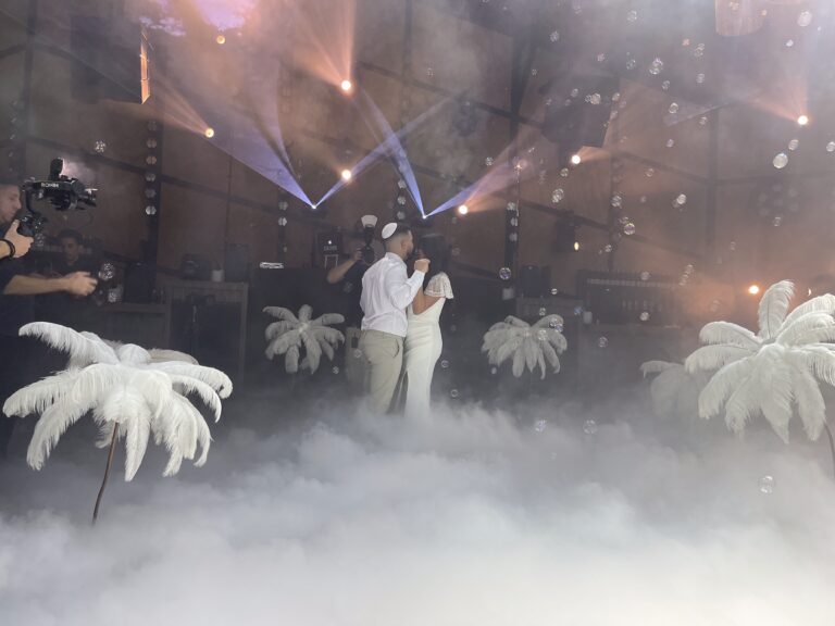 סלואו לבן יער נוצות