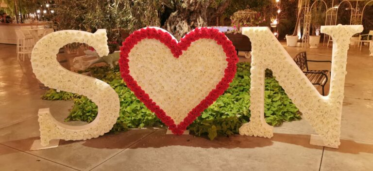 WhatsApp Image 2019-11-14 at 19.11.41